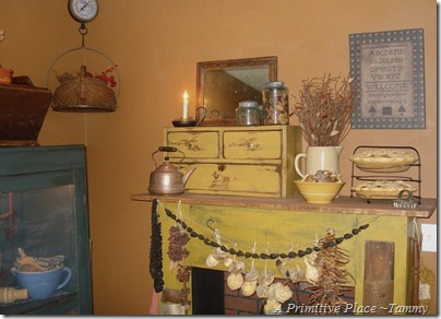A Primitive Place ~Tammy