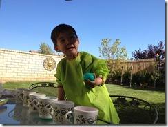 IMG_0560 IMG_0560