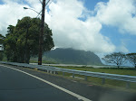 DSCF0170.JPG