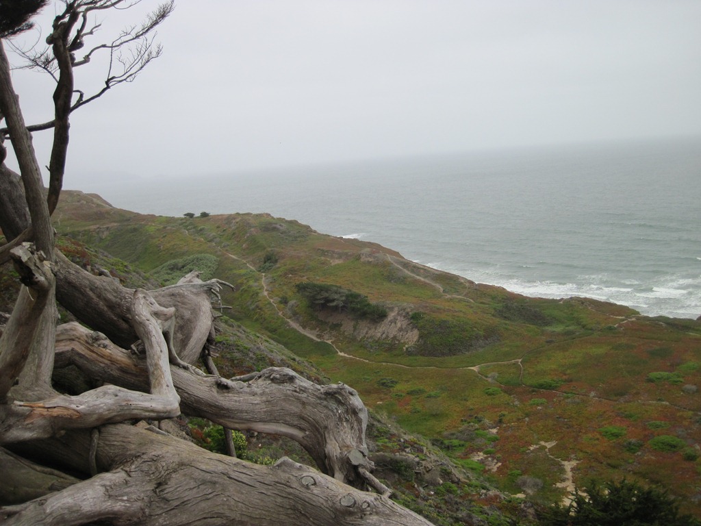 [IMG_0805%255B5%255D.jpg]