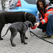 IMG_1277.JPG