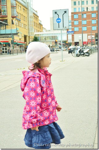 DSC_4039 DSC_4039