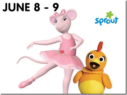 sp