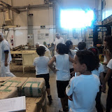 fotos diversas 815.jpg