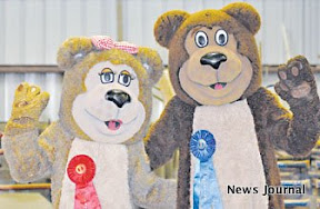 2 col fair bears.jpg