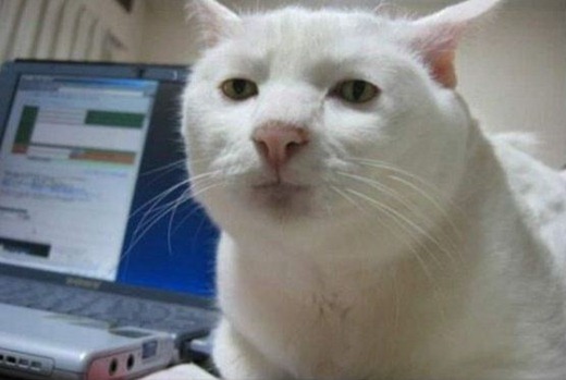 [1324375949_snimok%255B3%255D.jpg]