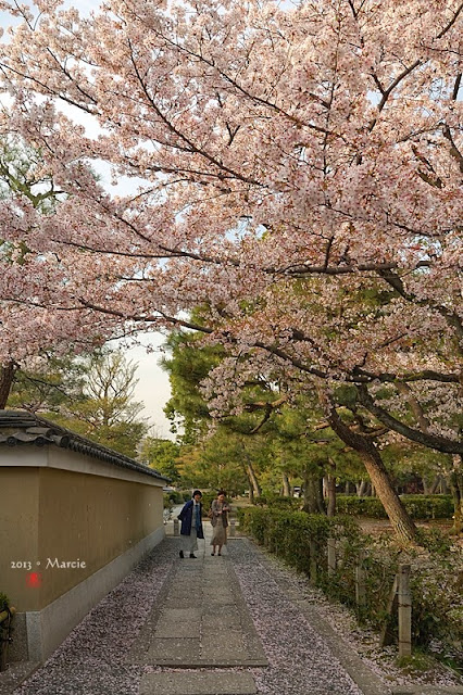 京都建仁寺