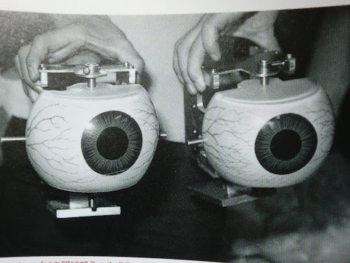 CIMG3346.JPG