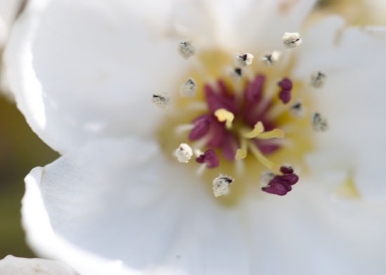 [DSC_4357%255B4%255D.jpg]