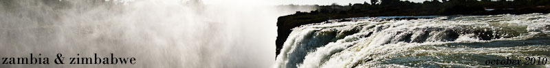 Banner Banner