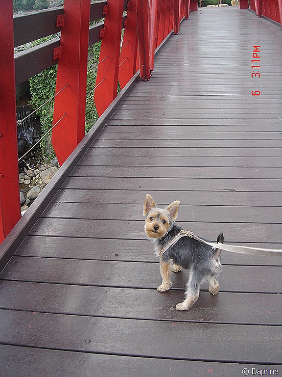 [DSC08810%255B6%255D.jpg]