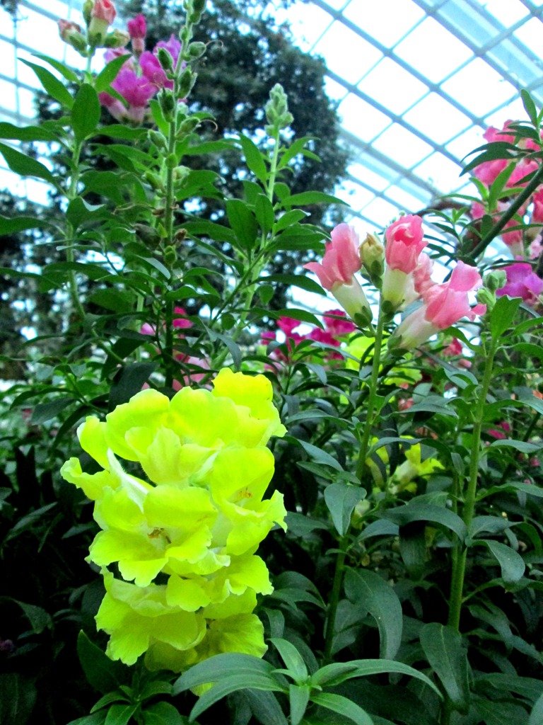 [IMG_1635%255B5%255D.jpg]