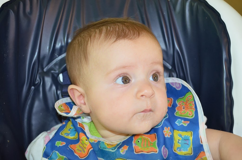 [DSC_5295%255B3%255D.jpg]