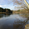 dsc07423.jpg