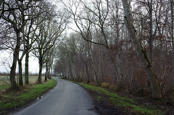 DSC_7216