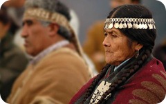 indigeni indigeni