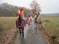 IMG_2322.JPG Photo
