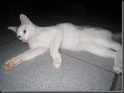 IMG_1357 IMG_1357