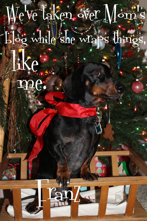 [rudi%2520and%2520franz%2520002-001%255B4%255D.jpg]