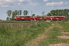 Moorexpress