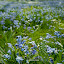 Frühling!