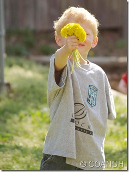 P1018440_crop