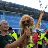 Pet Express Doggie Run 2012 Philippines. Jpg (273).JPG