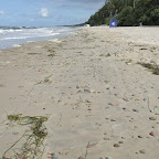 Plaża pokryta jest takimi kamyczkami i wąsami z glon&oacute;w na całej szerokości.