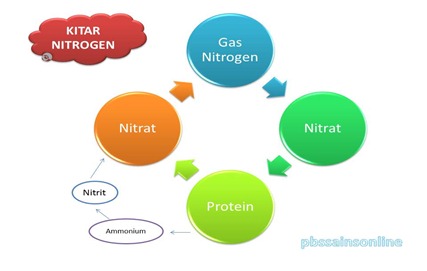 kitar nitrogen kitar nitrogen