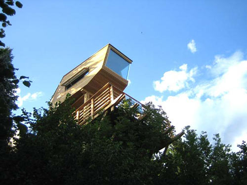 Amazing Tree Houses