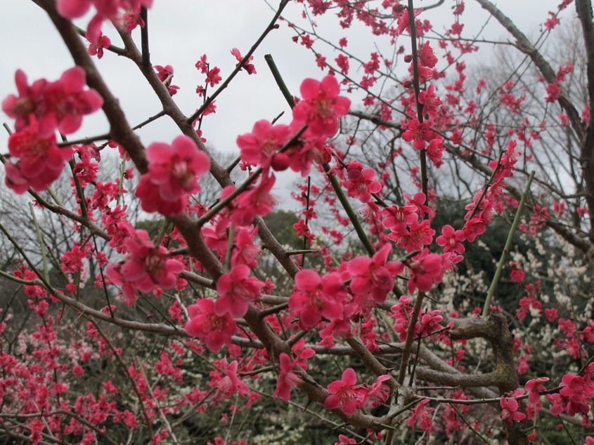 [2012Day-2_Pic275.jpg]