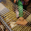 DSC01268.JPG