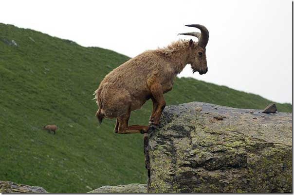 image009 image009