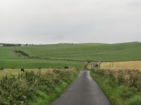 IMG_2623 IMG_2623