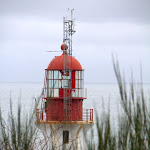 IMG_6039-001.jpg