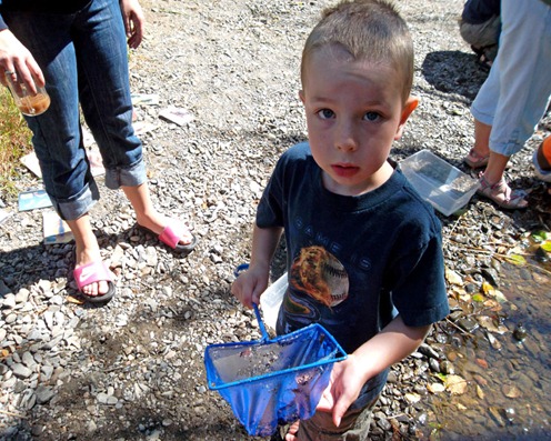 Catching Creek Critters