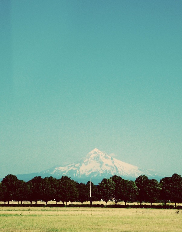 [DSC_0638%255B4%255D.jpg]