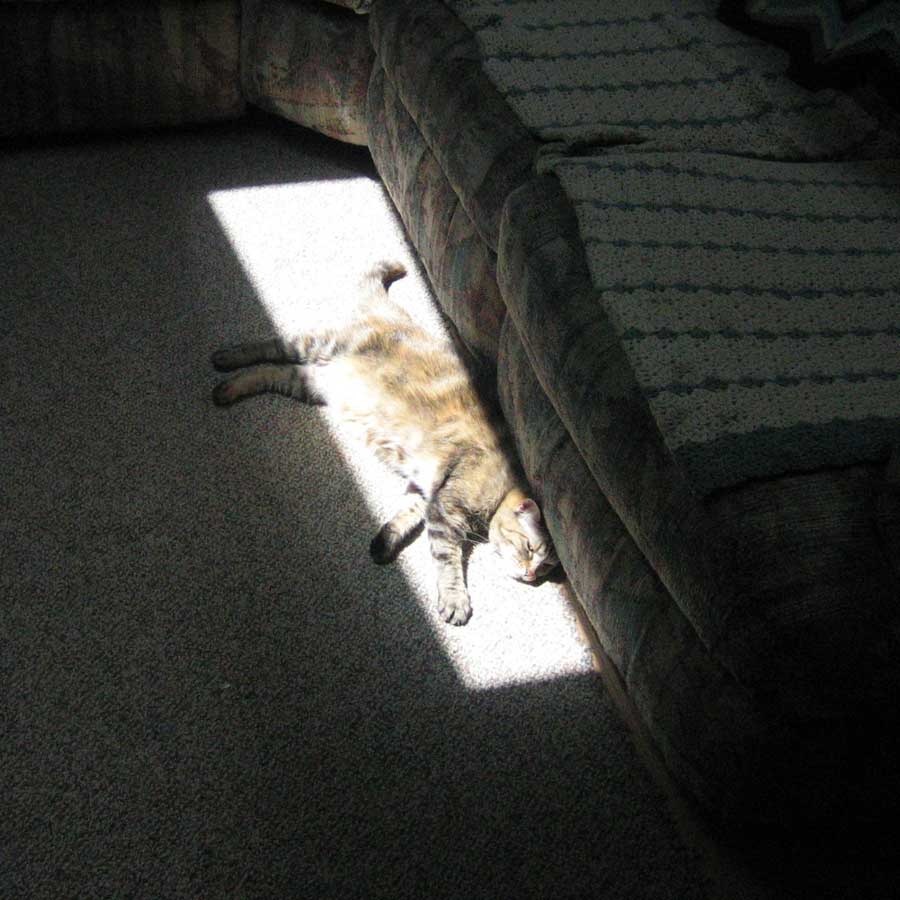 [kittyinsun34953.jpg]