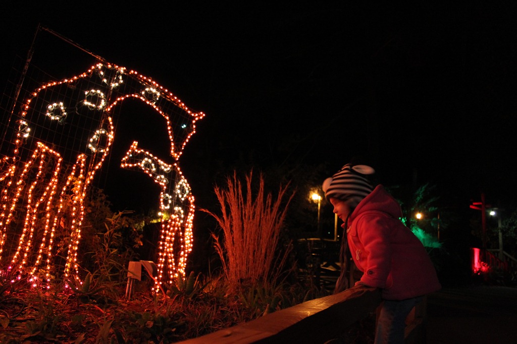 [12-24-2011_999_195%255B4%255D.jpg]