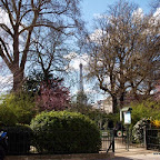 20100401_013.JPG