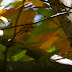 P1120587