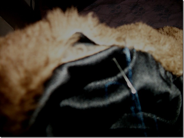 fur coat repair (5)