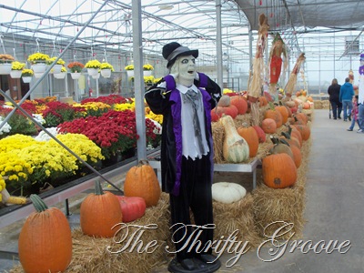 [Autumn%25202011%2520266%255B2%255D.jpg]