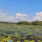 DSCN3030.JPG