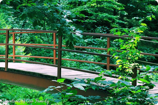 starved rock 27