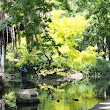 pond.jpg pond.jpg