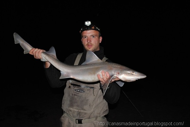 [fishphoto%255B1%255D%255B8%255D.jpg]