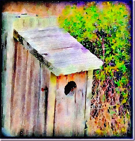 birdhouse