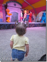 IMG_1133 IMG_1133