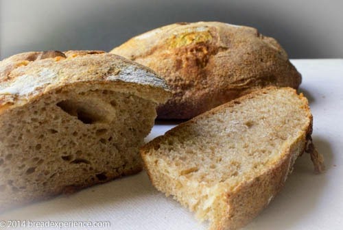 [roasted-garlic-spelt-bread-1-20%255B5%255D.jpg]